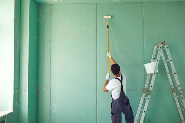 Environmental Consulting for Mold Prevention in Coto De Caza, CA