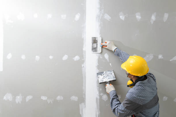 Best Mold Prevention Services  in Coto De Za, CA