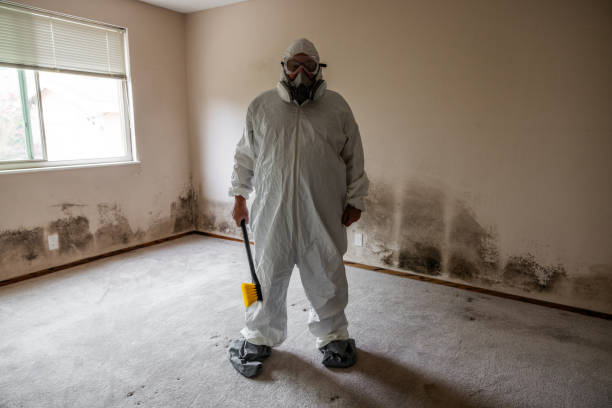 Best Industrial Mold Remediation  in Coto De Za, CA